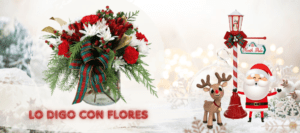 Flores navidad costa rica