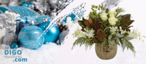 Flores navidad costa rica