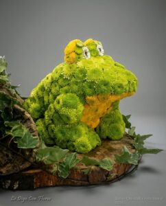 Sapo Floral
