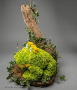 Sapo Floral