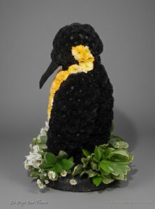 Pinguino Floral