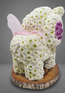 Elefante Floral