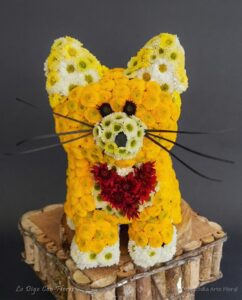Gato Floral