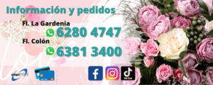flores dia de la mujer
