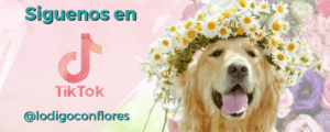 flores dia de la mujer