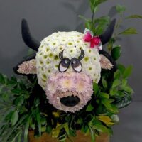 Vaca floral
