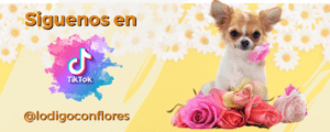 Flores día de la madre