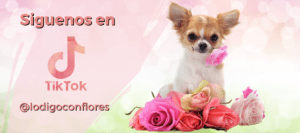 Flores día de la madre