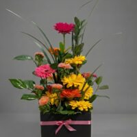 Gerberas en caja