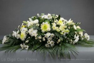 Tributo blanco san jose