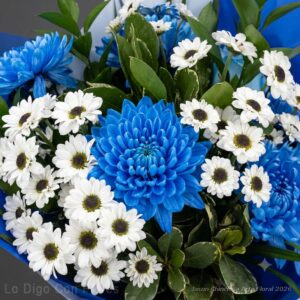 flores azules en san jose costa rica