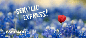 Flores en Costa Rica