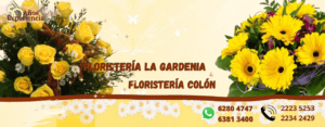 flores amarillas