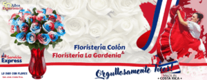 Flores en San Jose