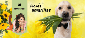 flores amarillas