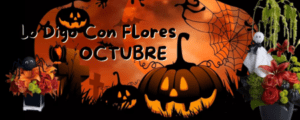 flores san jose