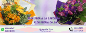 flores san jose