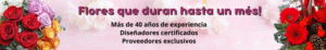 flores san jose
