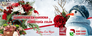 flores floristería navidad san jose costa rica