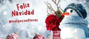 flores floristería navidad san jose costa rica