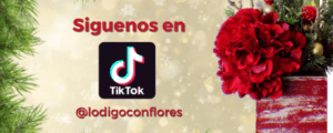 flores floristería navidad san jose costa rica