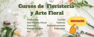 flores floristería navidad san jose costa rica