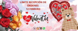 San Valentin flores