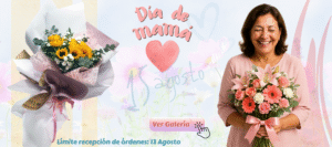 flores san jose