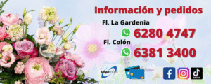 flores san jose