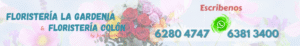flores madre