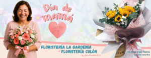 flores san jose