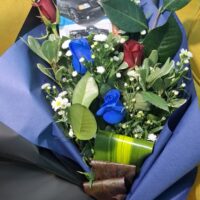 dia del novio