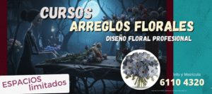 curso floristeria