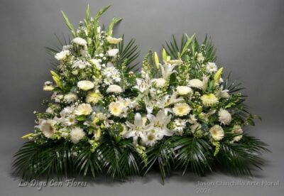 Diseño especial grande