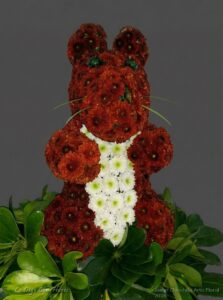 Ardilla Floral