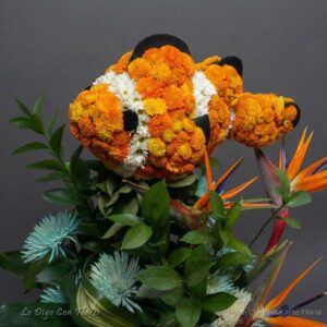 Nemo Floral