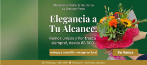 flores a domicilio en san jose