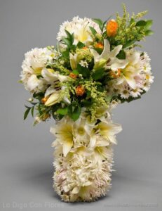 Tributo funebre San Jose Costa Rica