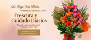 Entreg de flores en San José