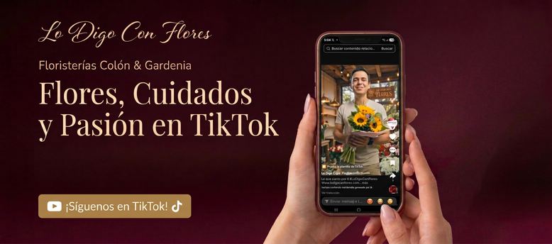 Floristería a Domicilio San José