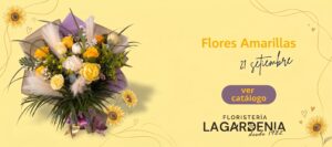 flores amarillas en san jose
