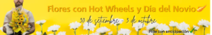 dia del novio hot wheels