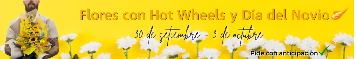 dia del novio hot wheels